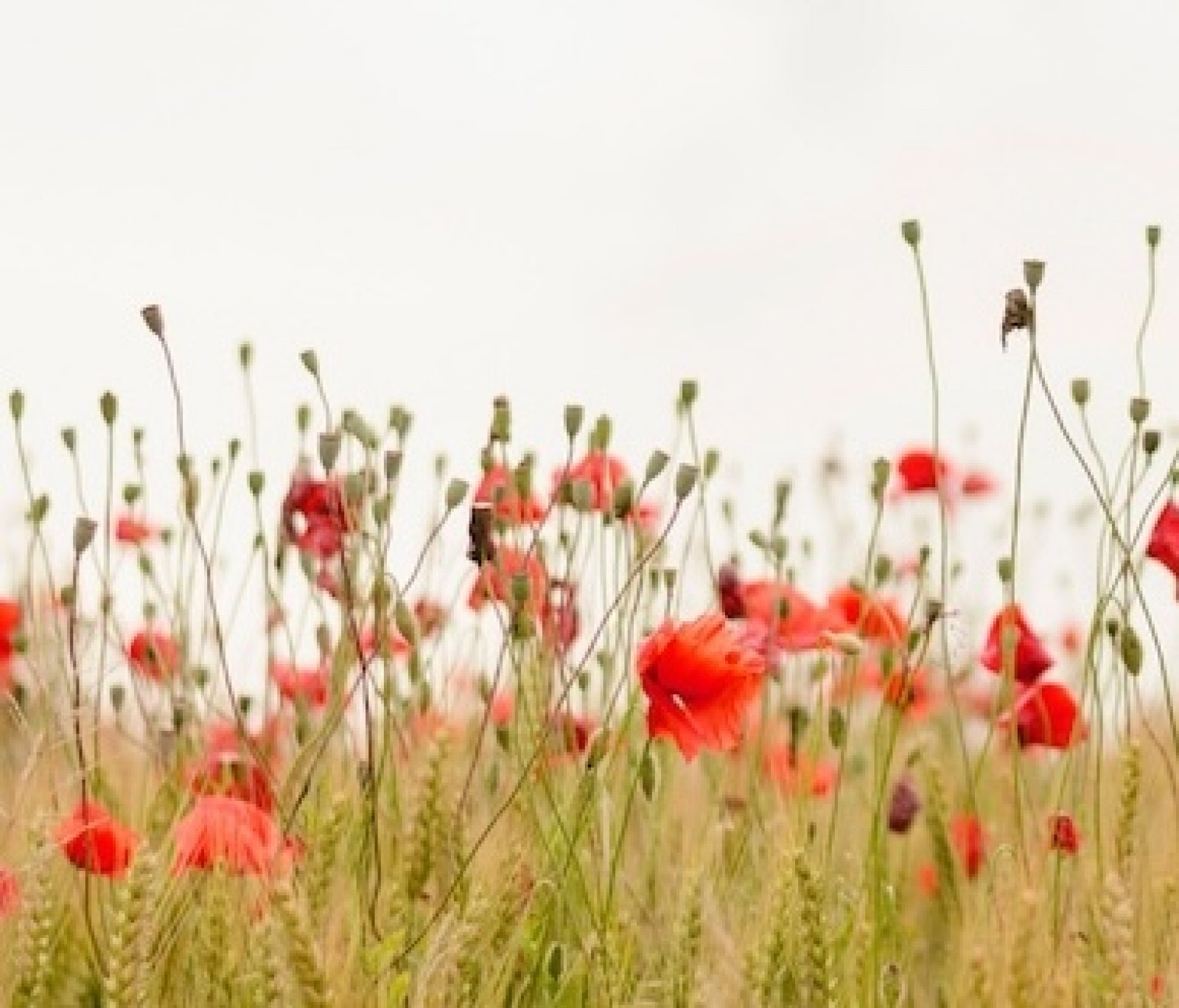 Enza mit Natur-Setting